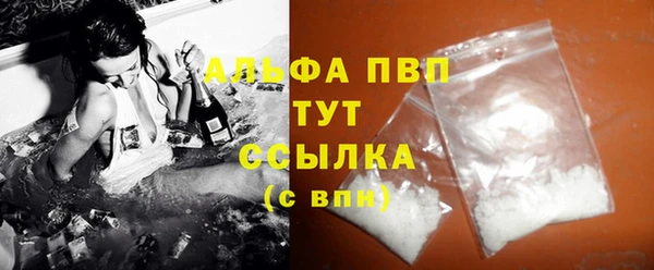прущие грибы Переславль-Залесский