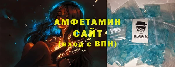 прущие грибы Переславль-Залесский