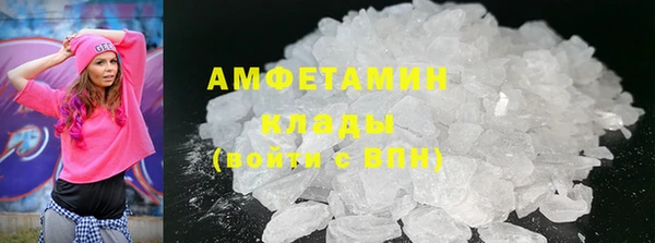 прущие грибы Переславль-Залесский