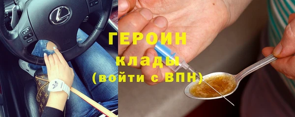 прущие грибы Переславль-Залесский