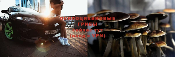 прущие грибы Переславль-Залесский