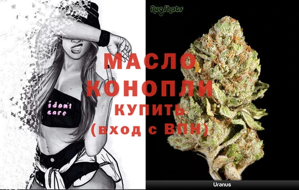 прущие грибы Переславль-Залесский