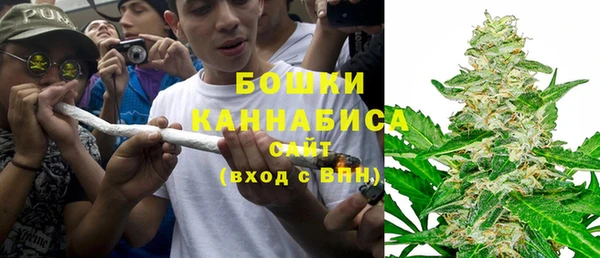 прущие грибы Переславль-Залесский