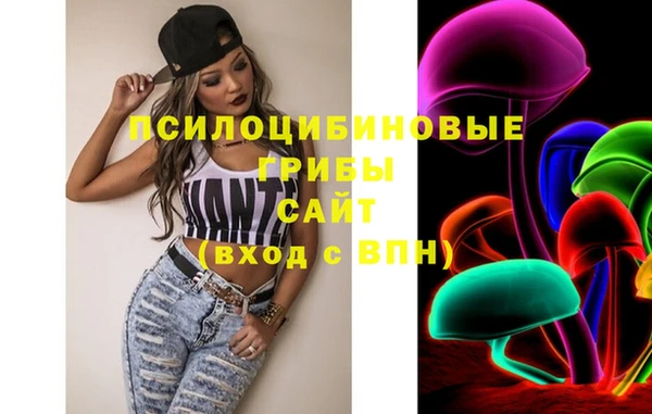 прущие грибы Переславль-Залесский