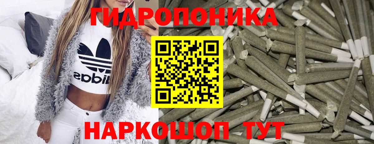 Шишки марихуана конопля Северобайкальск